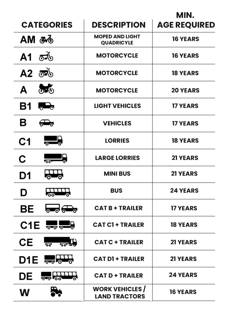drivers licenses symbols vector 2 722x1024 1