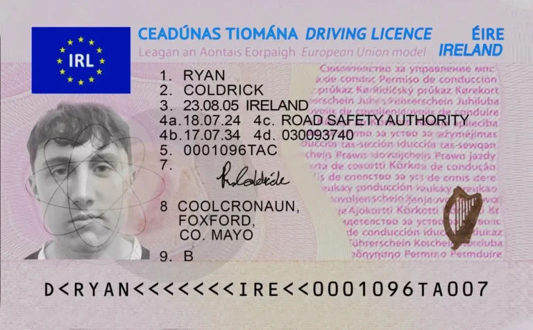 Full Irish Driving licence